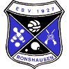 ESV Ronshausen
