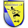SV Gammelsbach