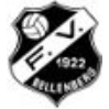 FV Bellenberg