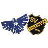 SV Dalkingen