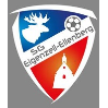 VfB Ellenberg