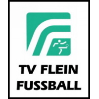 TV Flein