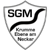 MSG Eintracht Obergriesheim