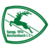 Spvgg Reichenbach/Täle