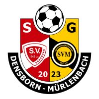 SV Densborn