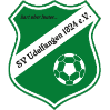 SV Udelfangen