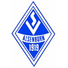 SV 1919 Alsenborn