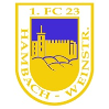 1. FC 23 Hambach