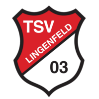 TSV 1903 Lingenfeld