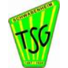 TSG 1887/24 Schwabenheim
