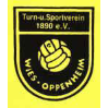 TuS 1890 Wiesoppenheim