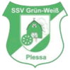SSV Grün-Weiß Plessa