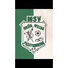 MSV Grün-Weiß Fichtenberg