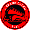 1. SV Lok Calau