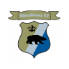 Bärenklauer SV