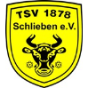 TSV 1878 Schlieben