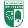 SV Grün-Weiss Brieselang