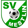 SV Grün-Weiß Mestlin