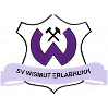 SV Wismut Erlabrunn