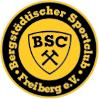 BSC Freiberg