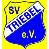 SV Triebel