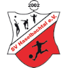 SV Haselbachtal
