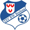 TSV Blau-Weiß Brehna