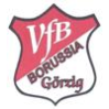 VfB Borussia Görzig