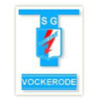 FSV Turbine Vockerode e.V.