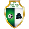 SV Grün-Weiß Linda e.V.