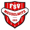 FSV Meuselwitz
