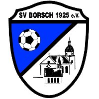 SV Borsch