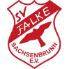 SV Falke Sachsenbrunn