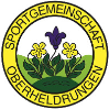 LSG 80 Oberheldrungen