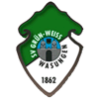 SV Grün-Weiß Wasungen