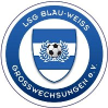 LSG BW Großwechsungen