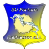 SV Fortuna Ballhausen