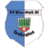 SV BW 90 Großmehlra