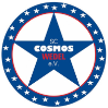 Cosmos Wedel