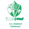 SC Walldorf Safak Spor