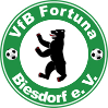 Virtueller Verein