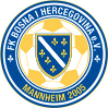 FK Bosna i Hercegovina MA