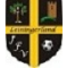 JFV Leiningerland e.V.