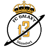 FC Galaxy Steinfurt 2013