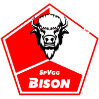 SpVgg BISON