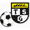 TSG Balingen Fußball