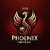 FFV Phoenix Zwickau