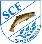 SGM SC Fornsbach/Rottal II