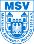 MSV 1919 Neuruppin