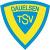 TSV Dauelsen U13